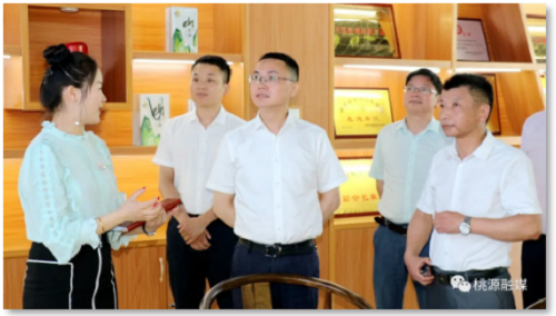 MG电子,油茶种植出产加工销售,植物油种植出产加工销售